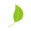 leaficon