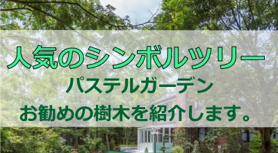 人気のシンボルツリー